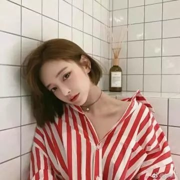 公主复仇者